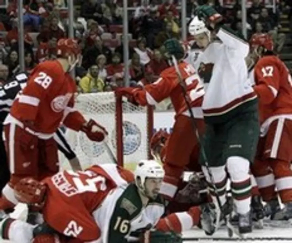 Wild Lose To Red Wings