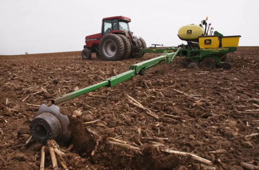 Dry Days Allows MN Farmers Catch Up On Planting