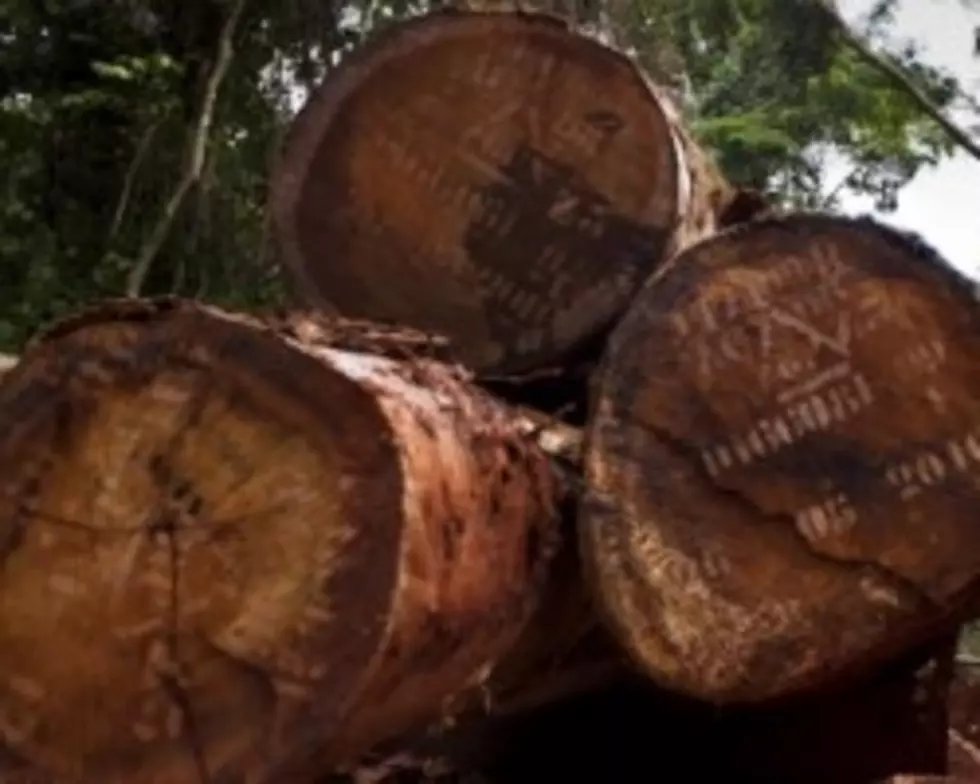 Verso Paper Fire Hurting State’s Logging Industry [AUDIO]
