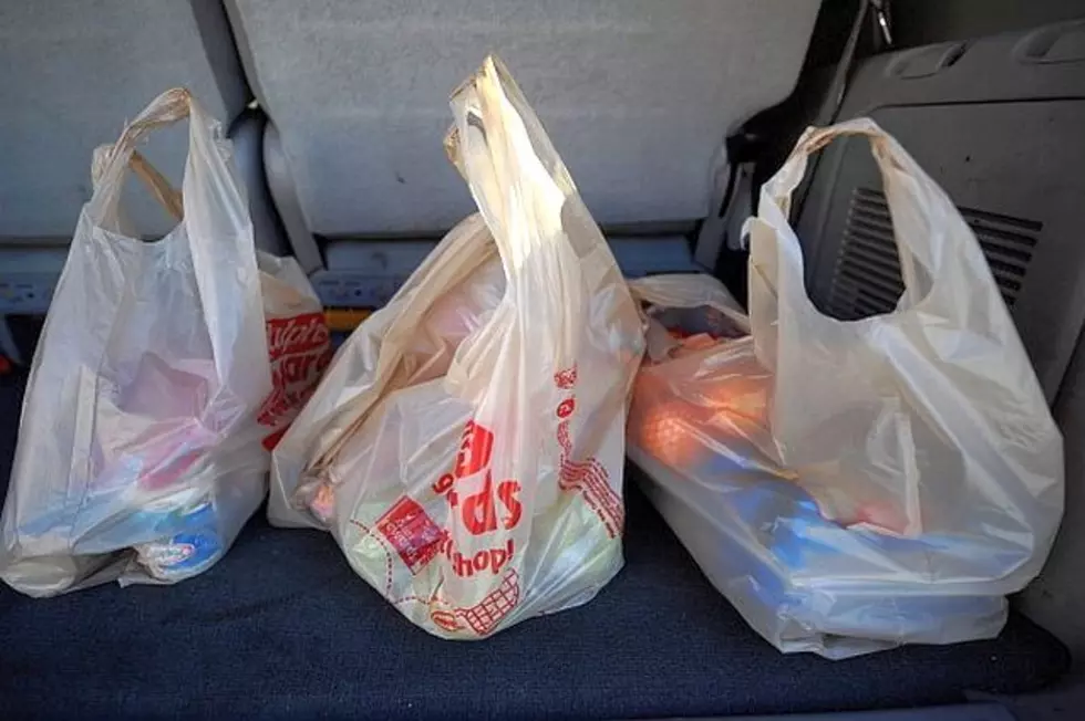 Minneapolis Council Votes for Plastic Bag Ban, Paper Bag Fee