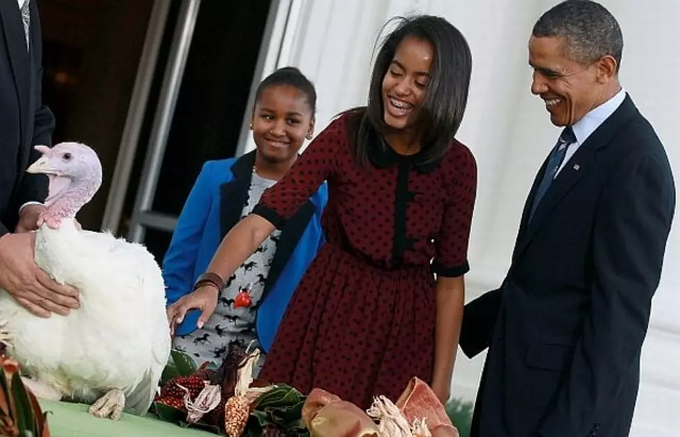 President Obama Pardons Willmar Turkeys