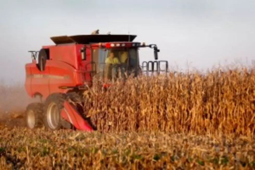 MN Corn, Soybean Harvests Outpace 2011