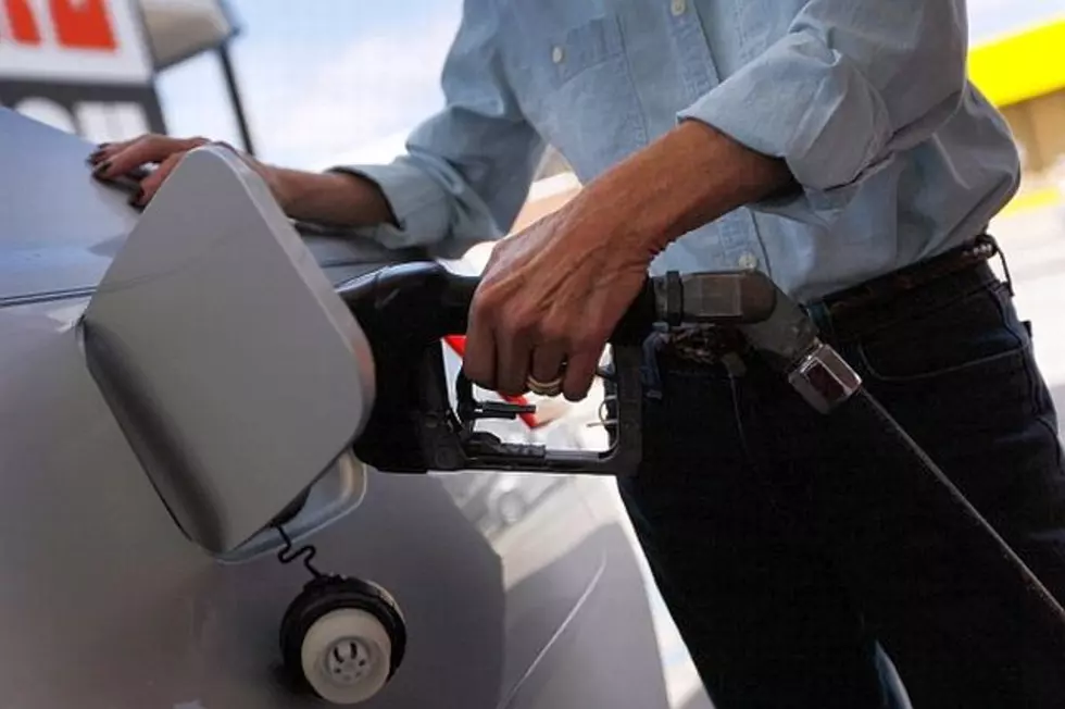 Government Cuts Summer Gasoline Price Forecast