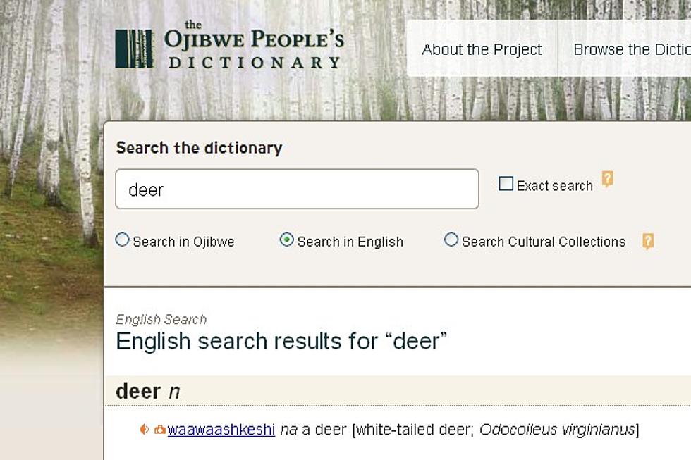 Online Ojibwe Dictionary to be Launched Monday