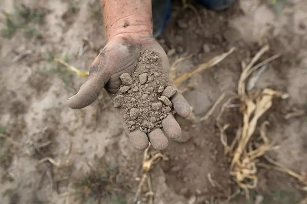 September 2nd Driest on Record