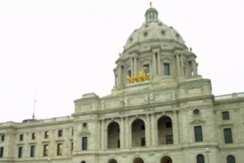 Minnesota Senate Passes Stripped Down Gun Bill