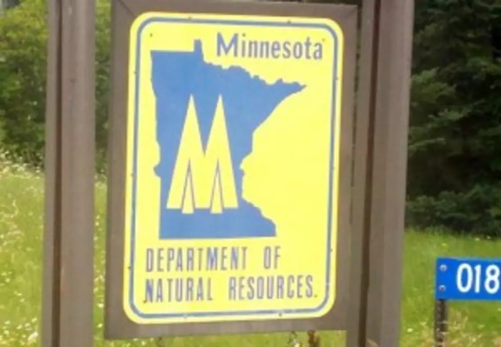 DNR To Auction Northern Minnesota Land October 9th