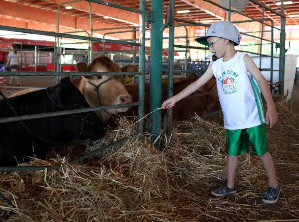 Group Looks to Get Kids Involved in Agriculture [AUDIO]