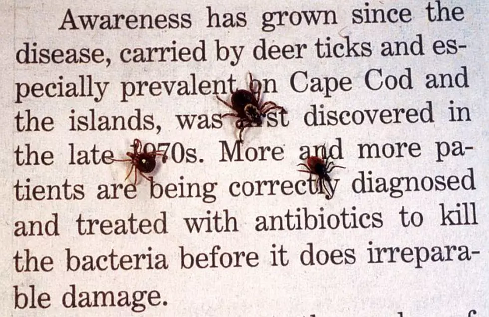 Sartell Couple to Share Their Struggle with Lyme Disease [AUDIO]