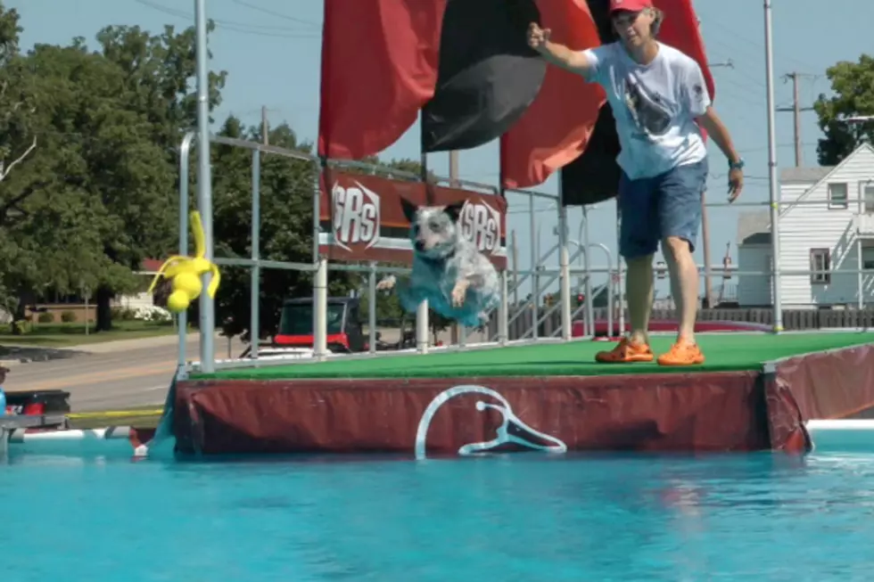 Dog Jumping Competition Hits St. Cloud This Weekend [VIDEO]