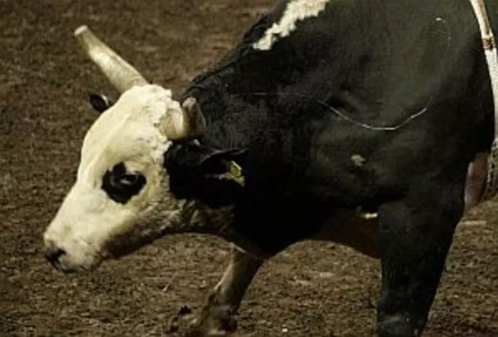 UPDATE: Woman Hurt By Bull At Dakota Fair Is Satisfactory