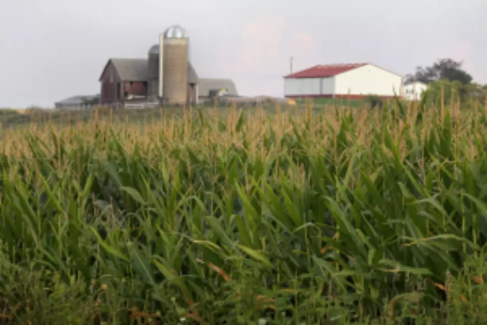 77-Year-Old Dies on Brown County Farm