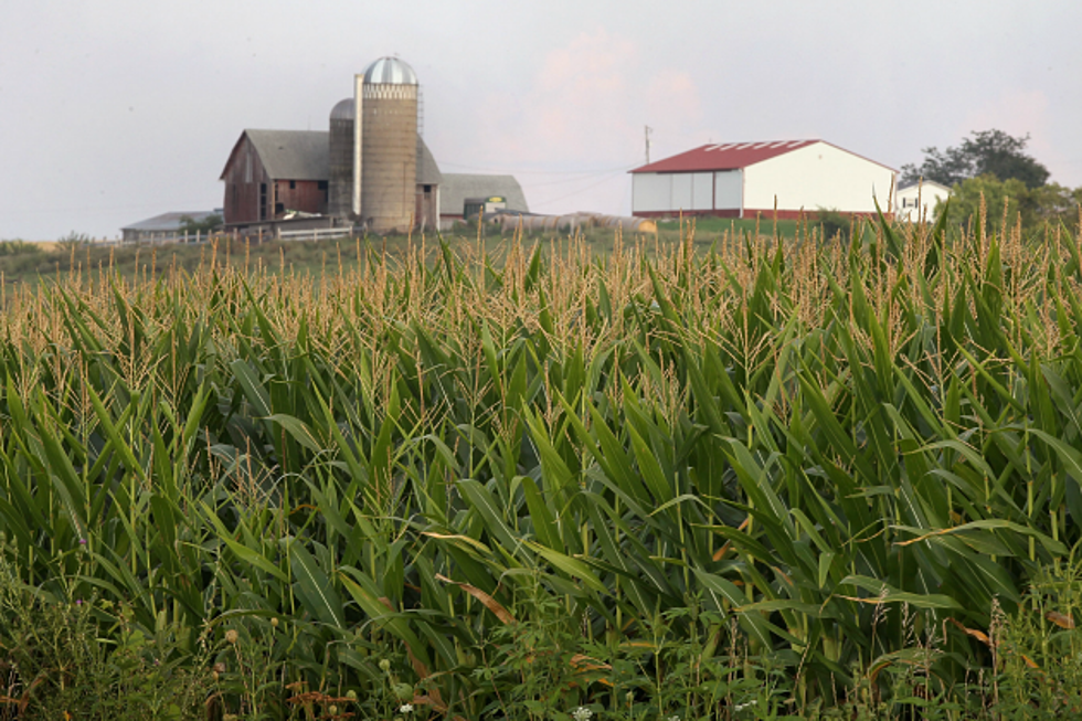 Wet Weather Limits Minnesota Field Work