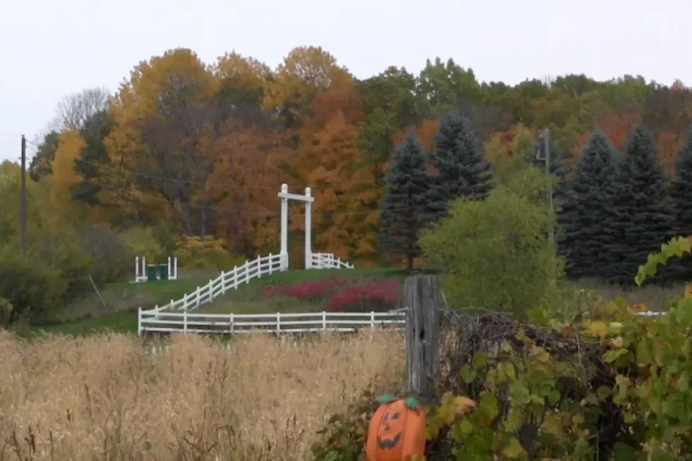 Collegeville apple pickin'