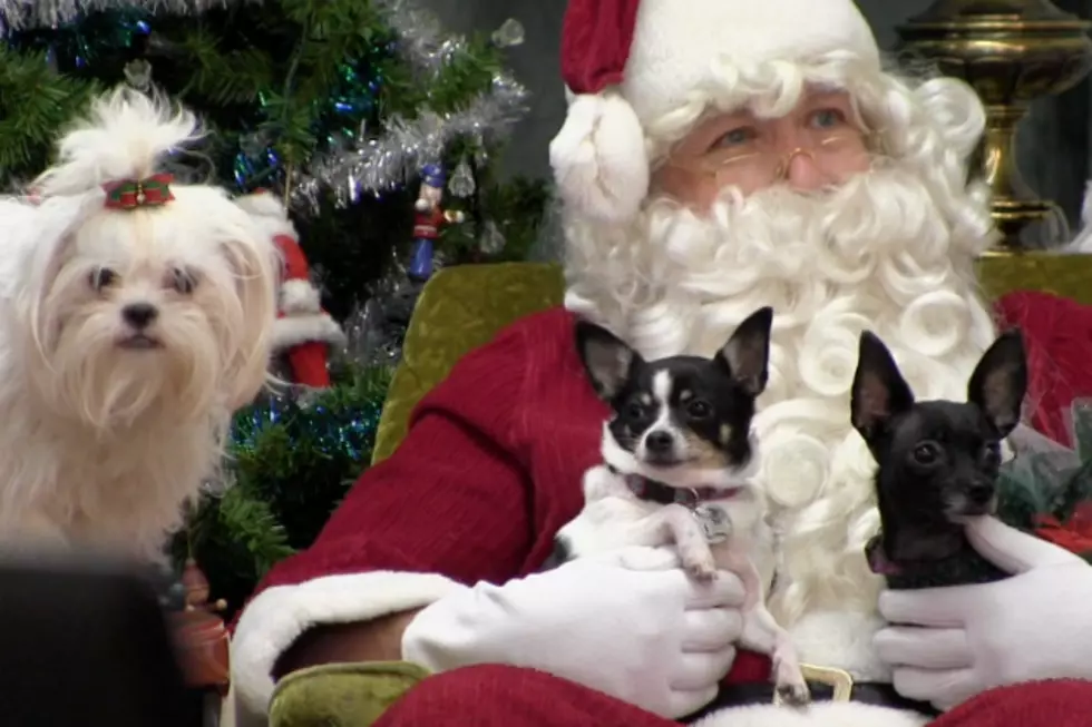 Tri-County Humane Society To Hold 32nd Annual Santa Paws Event