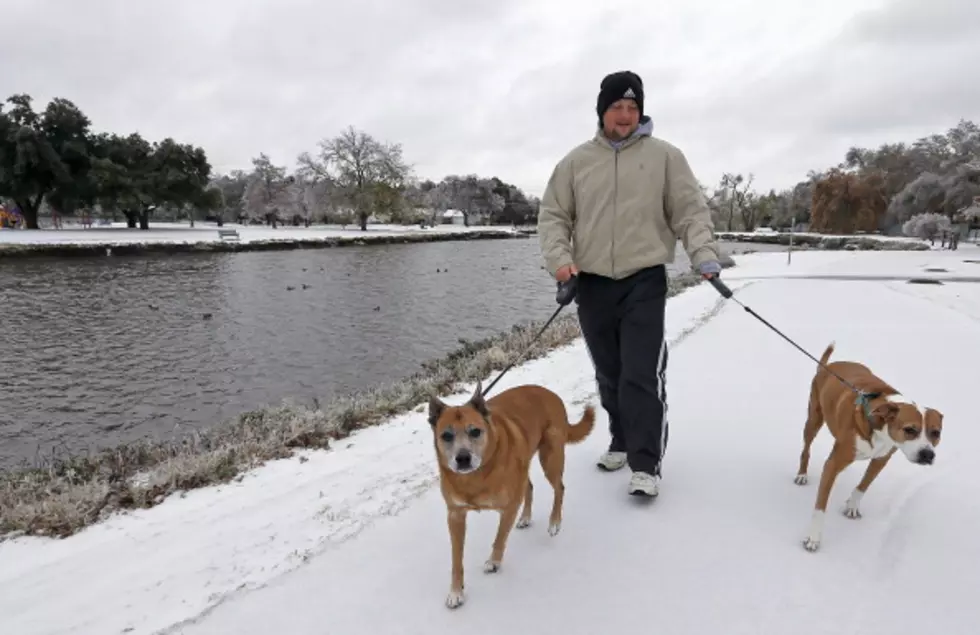 Dog Owners Asked To Keep Pets Leashed In Sherburne County Parks