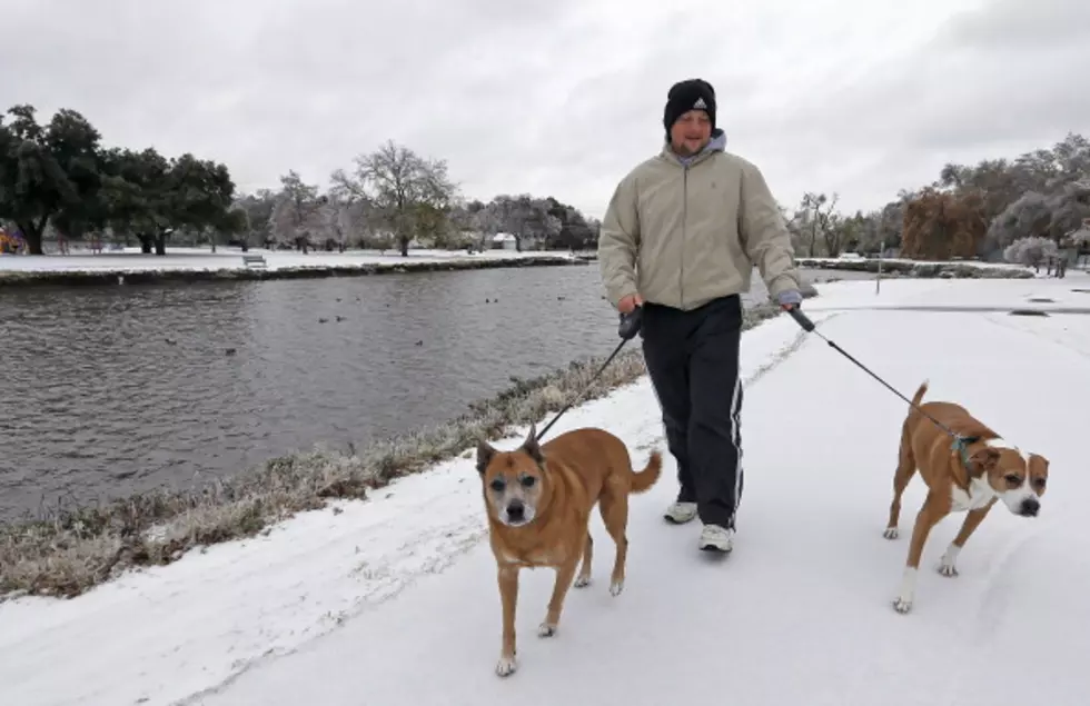 Top 5 at 7:45; Most Popular Dog Names