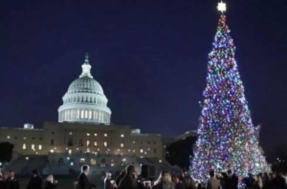 Capitol Christmas Tree To Get Drink At Itasca Park
