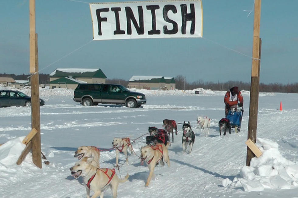Winter Warrior Sled Dog Races Held at Camp Ripley [VIDEO]