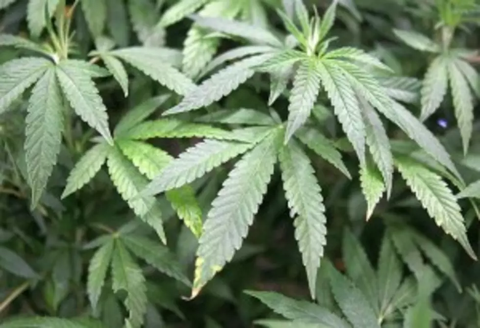 Key Lawmaker: Medical Marijuana Talks At Stalemate