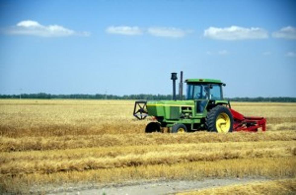 Rains Slow Minnesota Small Grain Harvest