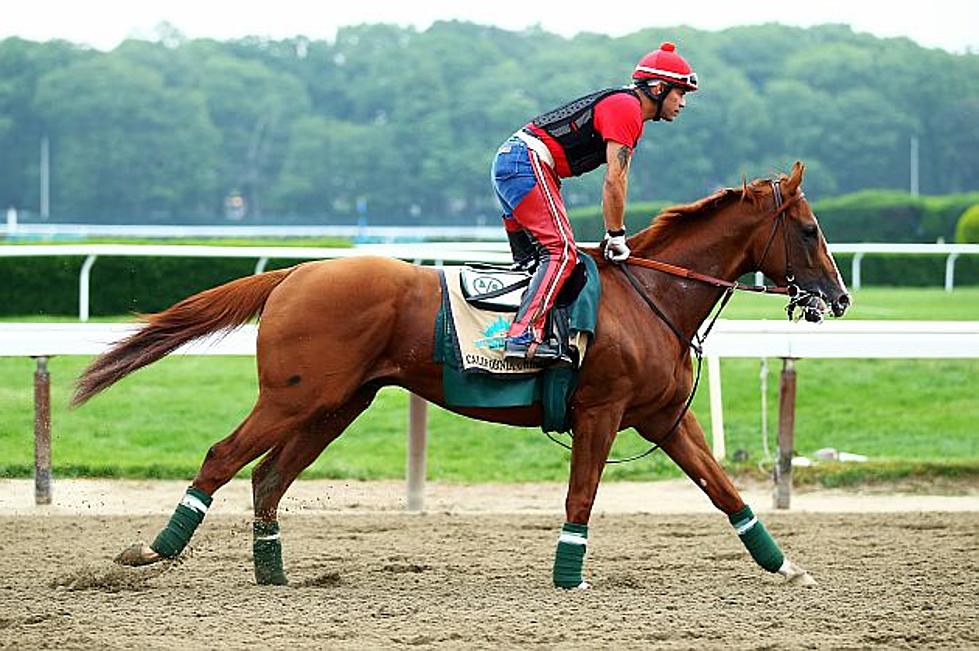 News @ Noon: Canterbury Park Expecting Huge Crowd To Watch California Chrome Race For Triple Crown [AUDIO]