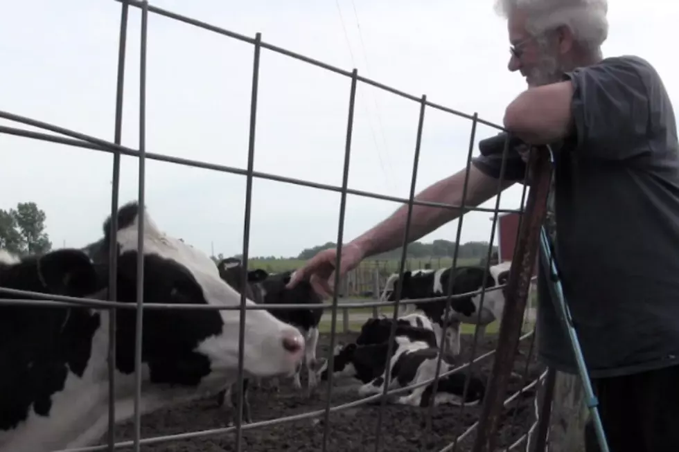 Local Dairy Farm Still Going Strong 125 Years Later [VIDEO]