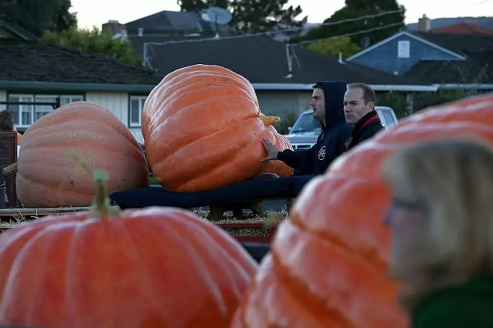 News @ Noon: Heavyweight Pumpkins Face-Off This Weekend In Stillwater [AUDIO]