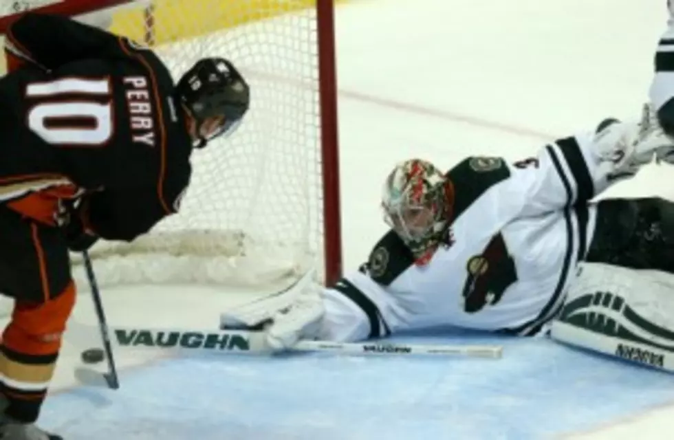 Wild Unable To Stop Ducks In Loss