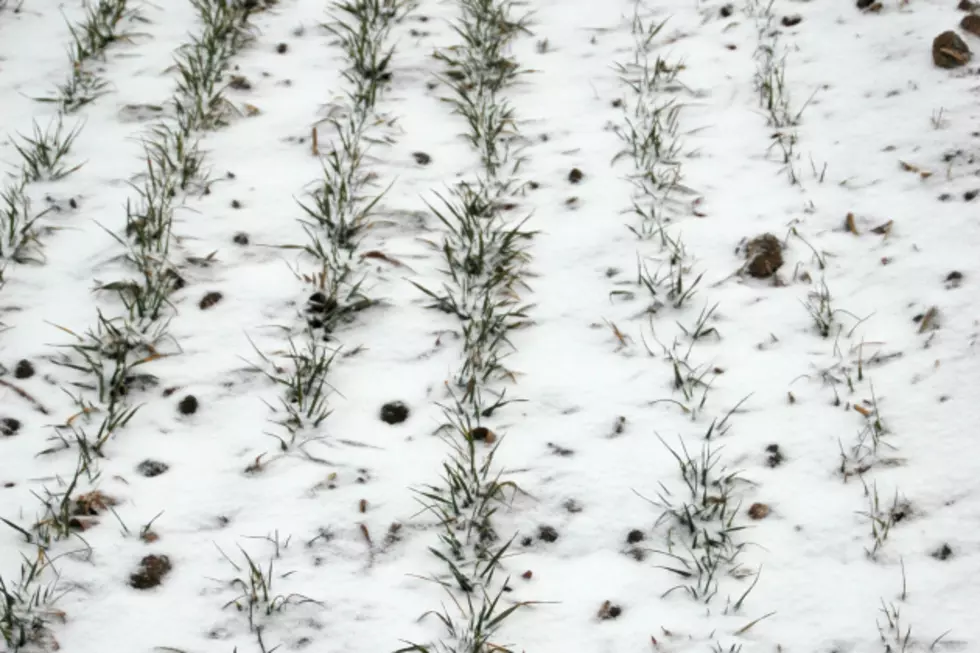 Early Snow Fall Not What Farmers Were Hoping For [AUDIO]