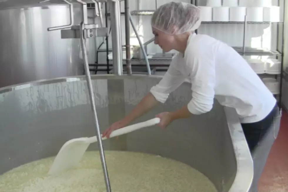 Behind the Scenes: Art of Cheese Making At Redhead Creamery [VIDEO]