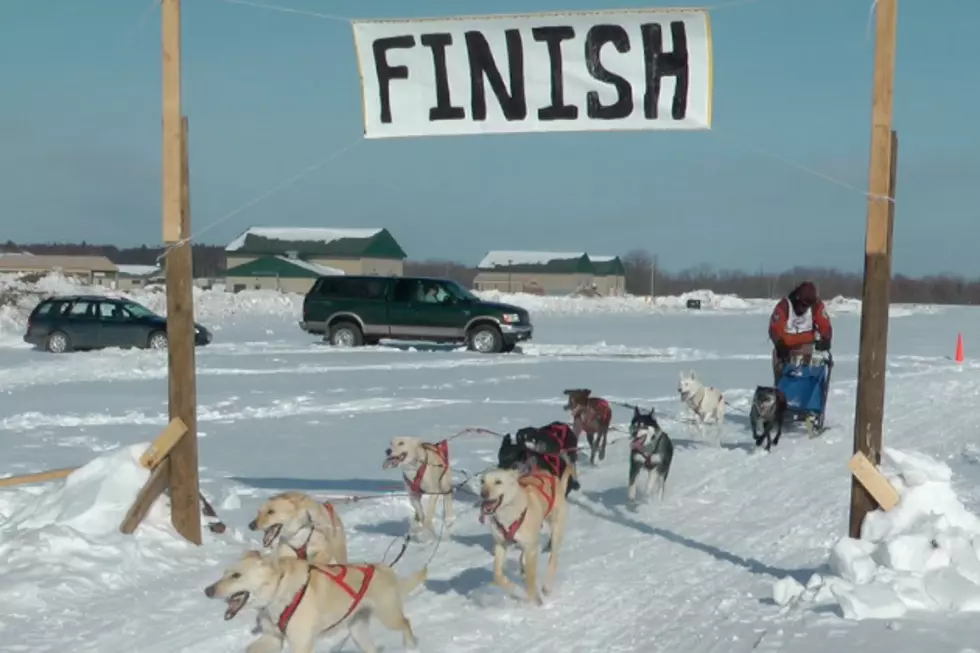 Join the Club: Sled Dog Racing in Central Minnesota [VIDEO]