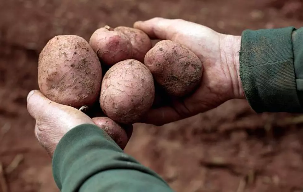 Garden Groove: Love Your Spuds