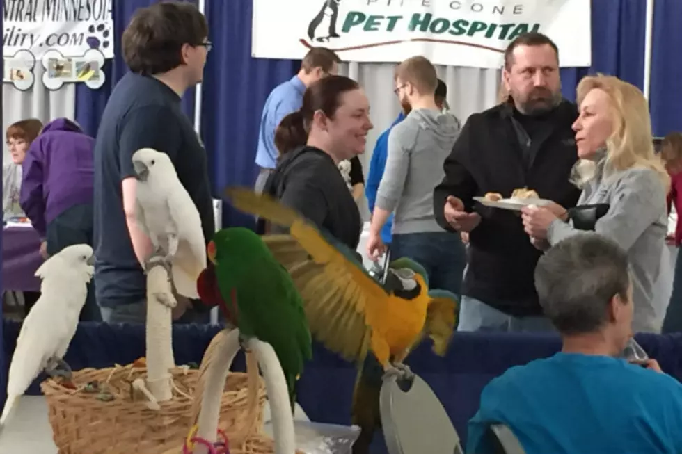 Animal Lovers Enjoy A Fun Day At The Pet Expo [VIDEO]