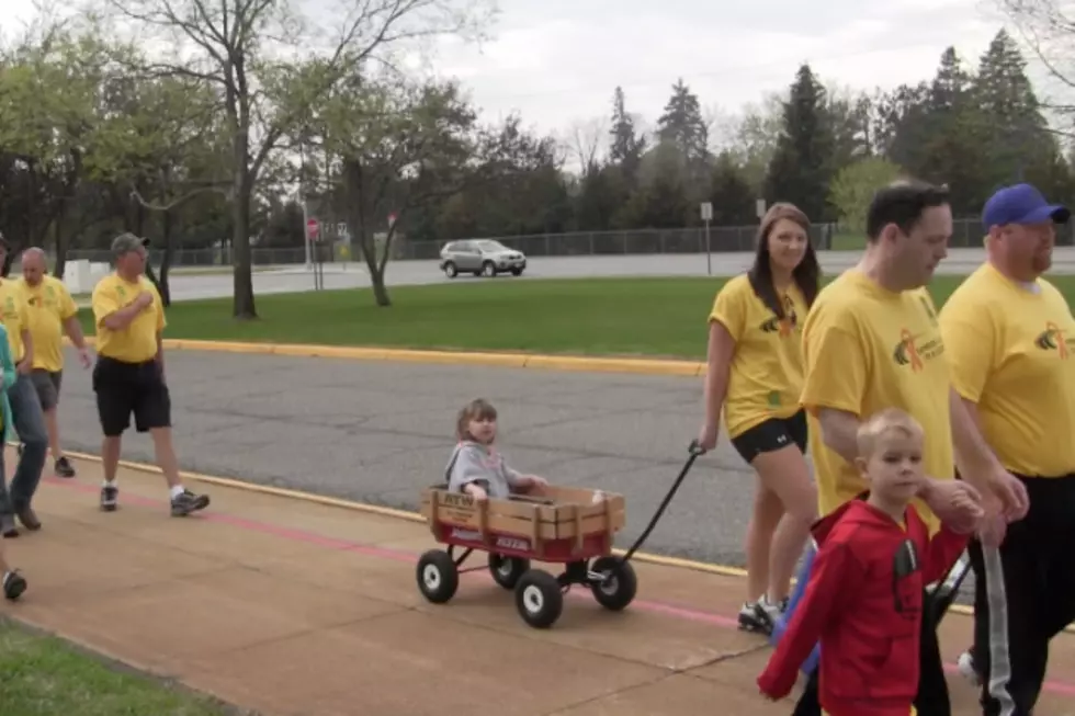 Hundreds Walk For A Cure At St. Cloud MS Walk [VIDEO]