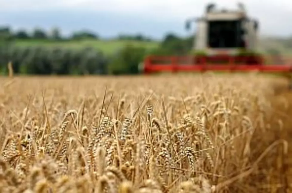 Farmer Dies After Getting Stuck in Combine While Harvesting