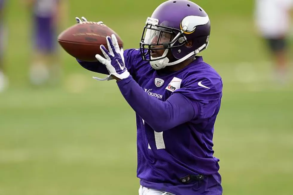 Mike Wallace Aims for More than Deep Throws with Vikings