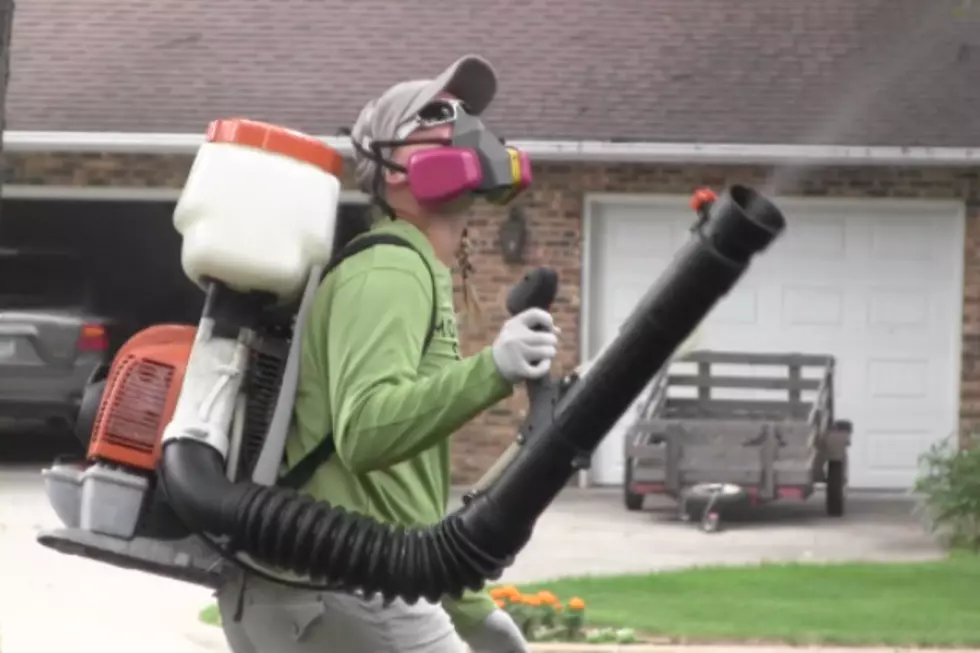 Behind the Scenes: Defending Your Home Of Unwanted Insects With The Mosquito Squad [VIDEO]