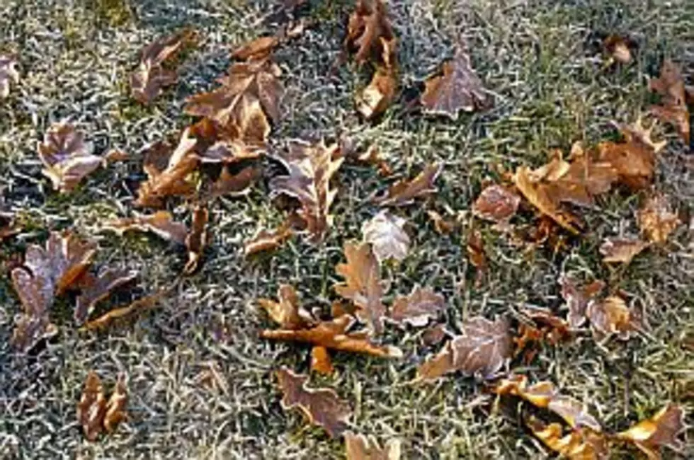 Frosty Fall Temperatures Arrive