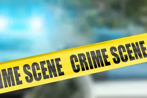 Roseville Officers Fatally Shoot Man Who Stabbed Police Dog