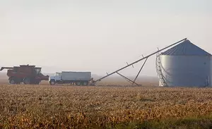 USDA Confirms Minnesota Had  Record Corn, Soybean Crops