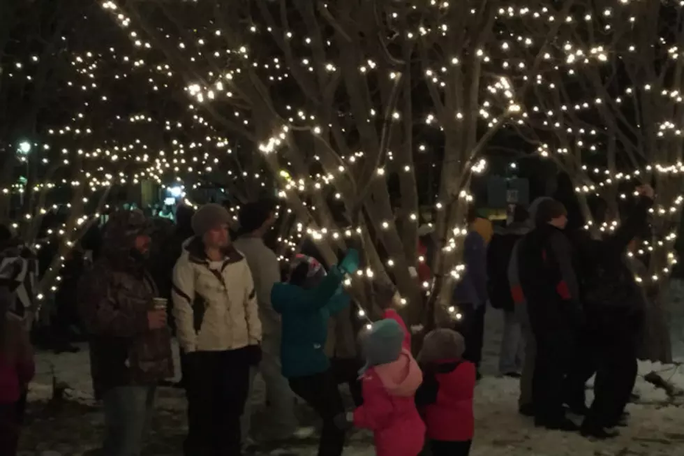 Holiday Spirit Shines at Festival of Lights [VIDEO]