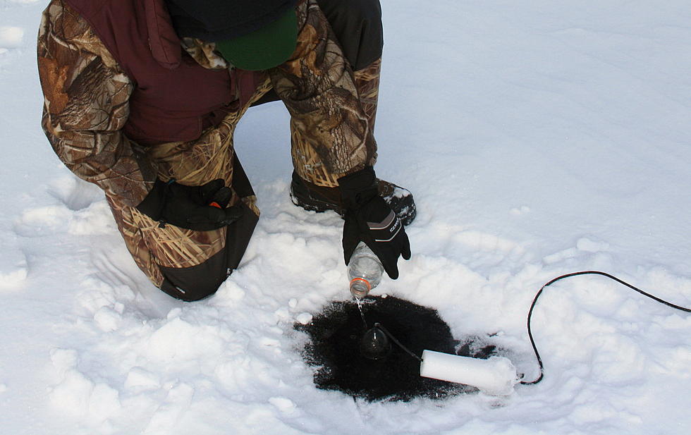 Love Those Winter Panfish