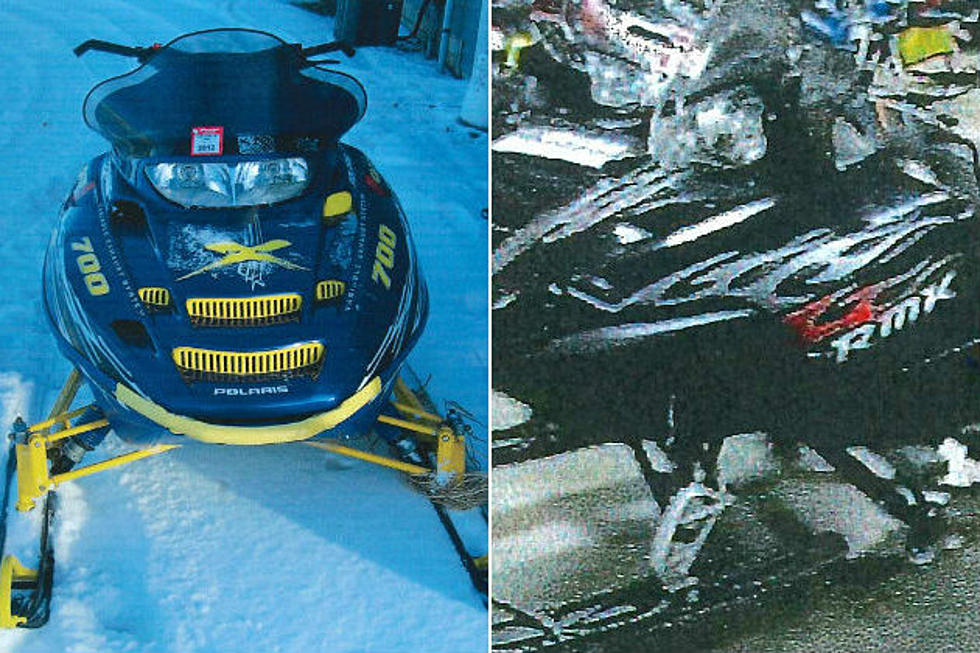 Police Investigating Snowmobile Theft in Morrison County
