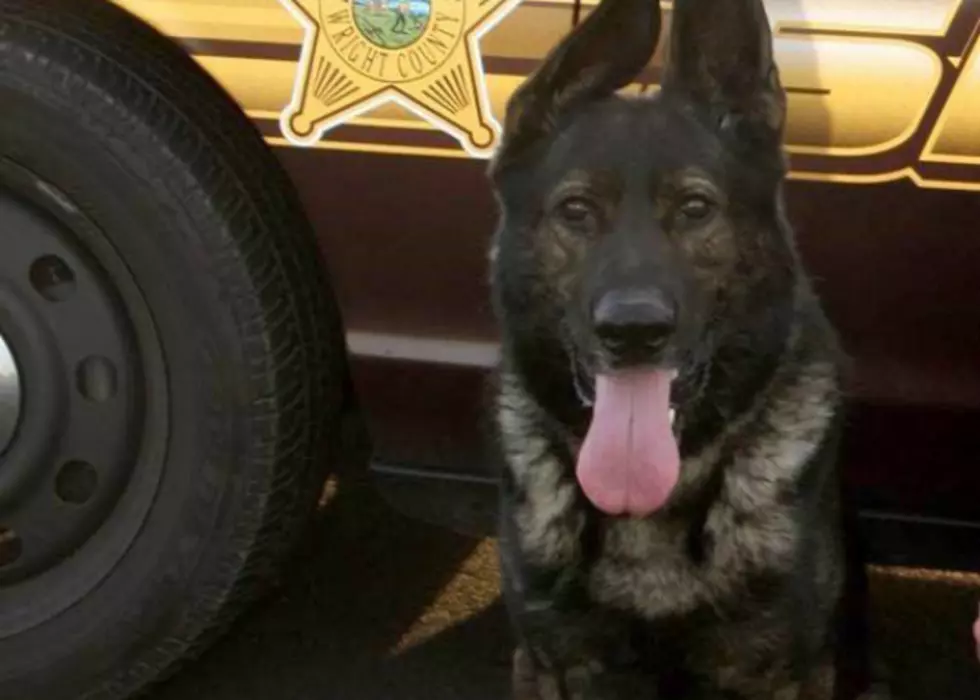 Wright County Police Dog Saber Passes Away