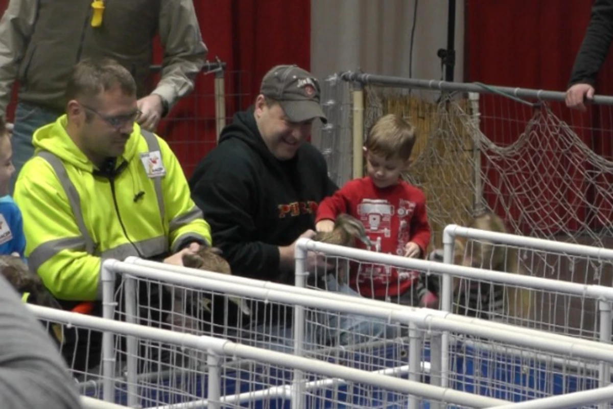 Thousands Gather for 24th Annual St. Cloud Sportsmen's Show [VIDEO]