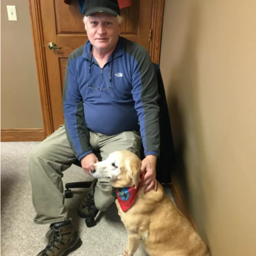 Sauk Rapids Pet Therapy Volunteer Brightens Patients’ Day with Yellow Lab