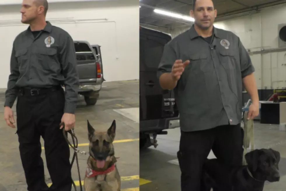 St. Cloud Company Training Dogs to Prevent Terrorism [VIDEO]