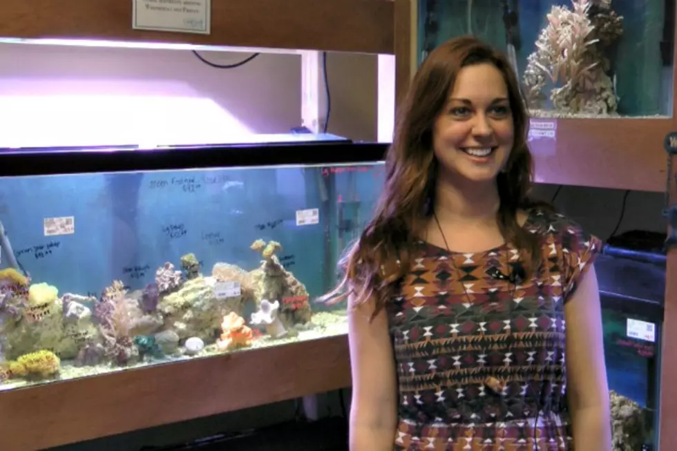 Business Going Swimmingly For New St. Cloud Aquarium Shop [VIDEO]