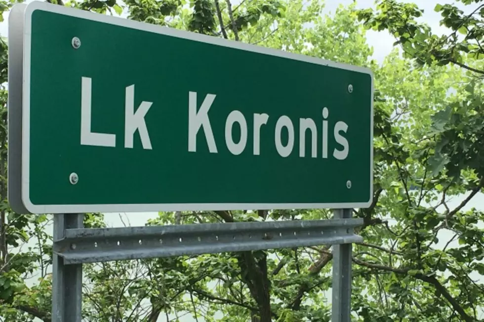 Lake Koronis Starry Stonewart Removal Project Could Be National Model